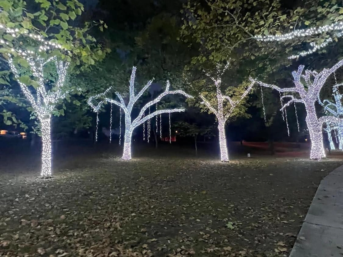 Let It Glow Birmingham Gallery