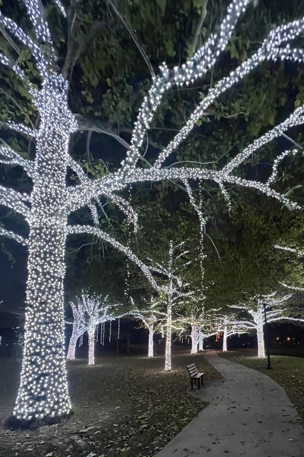 Tree & Landscape Lighting